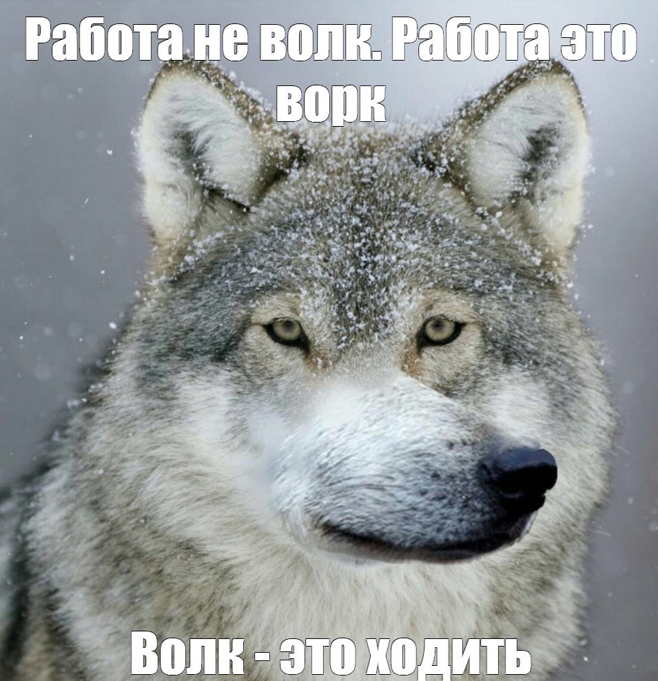 Сплав по Керети